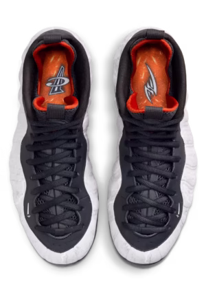 Air Foamposite One DZ5485-010