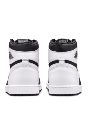 کفش Air Jordan 1 High OG DZ5485-010