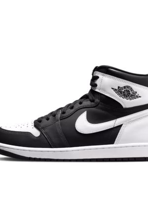 کفش نایکی Air Jordan 1 High OG DZ5485-010